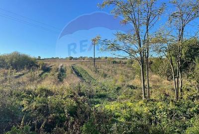 Teren Construcții intravilan de 2341 mp, în Uileacu de Munte - 2