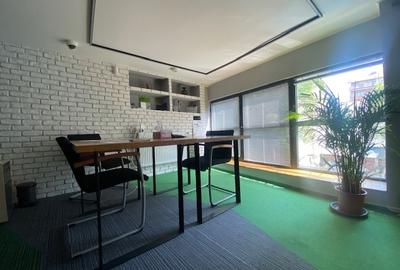 Cismigiu-Mircea Vulcanescu Cismigiu-Mircea Vulcanescu - 6