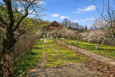Casă individuală cu 7 camere cu Canalizare în Malaia - 15