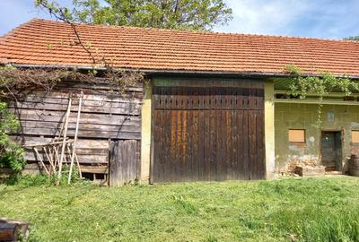 Casă individuală cu 3 camere cu Teren 4552 Mp în Voivodeni - 3