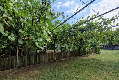 Teren 5.725 m Tomsani, Dambovi?a, la drum jude?ean - 1