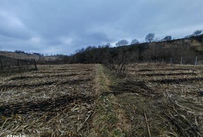 Spațiu comercial, în Măgura - 5