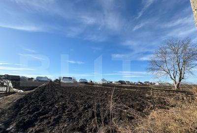 Casa individuala, in Costisa, Fratautii Noi - 4