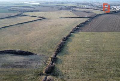 COMISION 0% Teren industrial 2000 mp, utilitati, acces TIR - Mosnita - 7