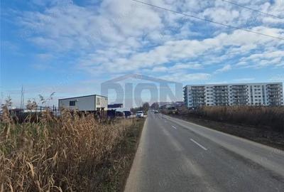 TEREN INTRAVILAN 10000 MP POPESTI LEORDENI HILS SPLAI - 6