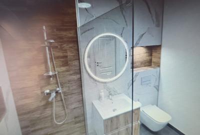 Casă individuală cu 2 camere cu Teren 450 Mp în Astra - 3