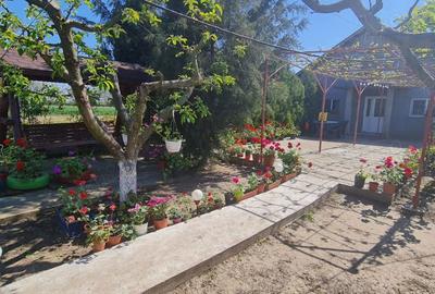 Casă cu 4 camere cu Teren 4300 Mp în Chirnogi - 3