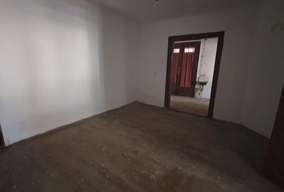 Casă cu 4 camere cu Teren 1256 Mp în Aradul Nou - 2