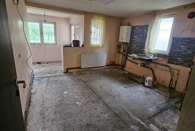 Snagov, Ciofliceni - 11