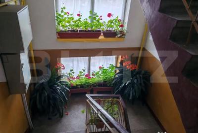 Apartament cu 2 camere decomandat în Botizului - 9