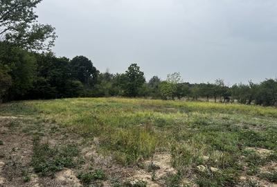 Spațiu comercial, în Glâmbocu - 4