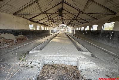 Platforma industriala 27.000mp - Racova - Buhusi - 3