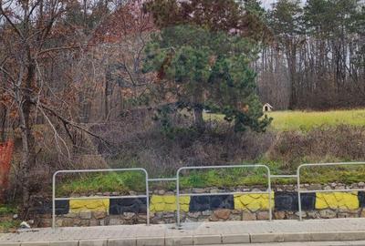 Oportunitate investi?ie B. Felix teren intravilan cu PUZ 1157 mp DN 76 - 9