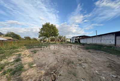 Teren de 4449 mp, în Curtișoara - 5