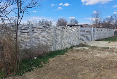 Teren de 1500 mp, în Măxineni - 6