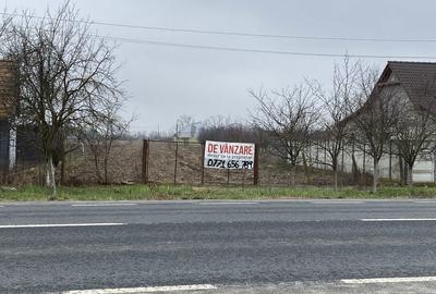 Spațiu comercial, în Belinț