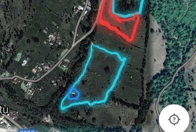 Casă cu 2 camere în Nisipitu - 1