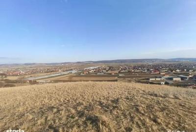 Teren de 4633 mp, în Curteni - 1