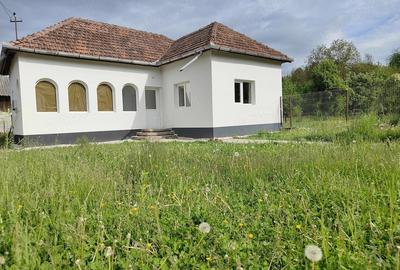 Casă cu 3 camere cu Teren 1500 Mp în Capu Piscului (Godeni) - 9