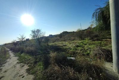 Teren intravilan 1000mp, front 52,38, zona Damila - 1