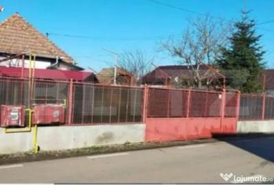 Casă cu 2 camere cu Teren 1414 Mp în Criș - 6
