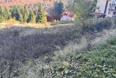 Teren intravilan situat in Predeal-Paraul Rece - 5