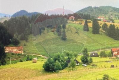 Teren de vis in Fundata 3868mp, la inal?imea sufletul... - 3