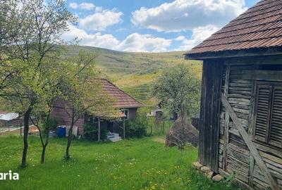 Casă cu 1 camere cu Teren 3750 Mp în Ciurila - 7