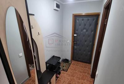 Apartament cu 2 camere semidecomandat în Paltin - 5