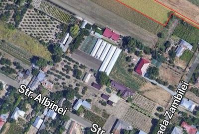 Spațiu comercial, în Chirnogi - 3