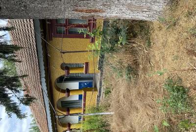 Casă cu 3 camere în Alexeni - 4