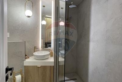 Apartament cu 3 camere decomandat, mobilat în P-ța Alba Iulia - 12