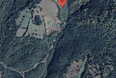 Vindem teren forestier 44165 mp Doabra - Bucovina - 3