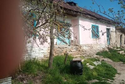 Casă cu 4 camere în Slava Rusă - 1