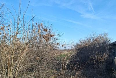 Teren Calugareni Giurgiu 2600 mp - 6