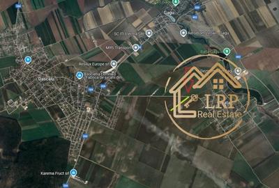 Dascalu-Creata-DC185-7900 mp intravilan, stradal - 3