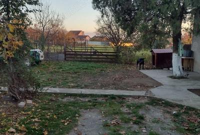 Casa de vanzare la tara, teren generos locatie linistita - 9