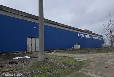 Spațiu industrial, de 17,500 mp, în Zona Liberă - 12