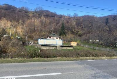 Teren de 1190 mp, în Șotrile - 8
