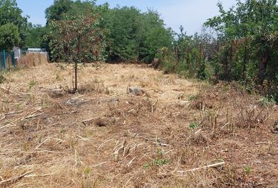 Teren în Chitila - 1