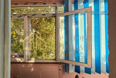 3 CAMERE TEI / MAICA DOMNULUI - BLOC 1992 - 71MP - PRETUL CEL MAI BUN DIN ZONA - 20