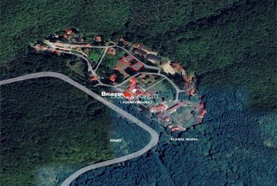 Teren de 370 mp, în Pădurea Neagră - 2