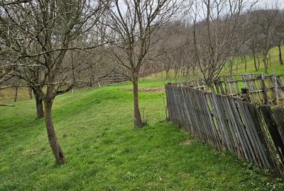 Casă cu 4 camere în Central - 7