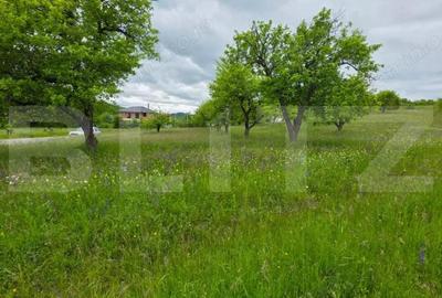 Teren intravilan, toate utilitatile, 9 ari intravilan, zona Unirea - 6