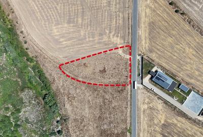 Oportunitate de afacere intre Balaceanca si Glina- Teren de vanzare. - 2