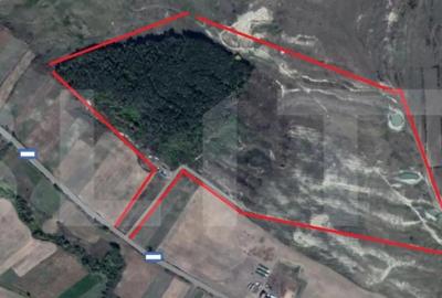 Teren de 400000 mp, în Someșeni