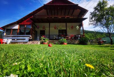 Casă cu 4 camere în Lepșa - 14