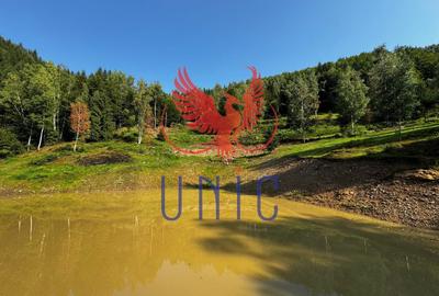 Teren Construcții extravilan de 18000 mp, în Exterior Est - 27