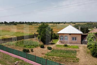 Casă cu 5 camere cu Teren 1400 Mp în Central - 2