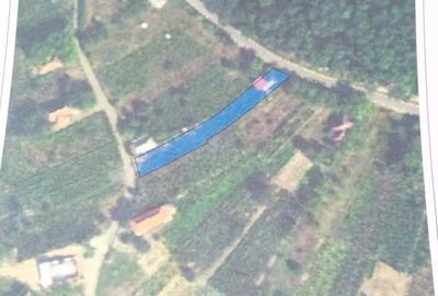 Casă în Orașu Nou - 2